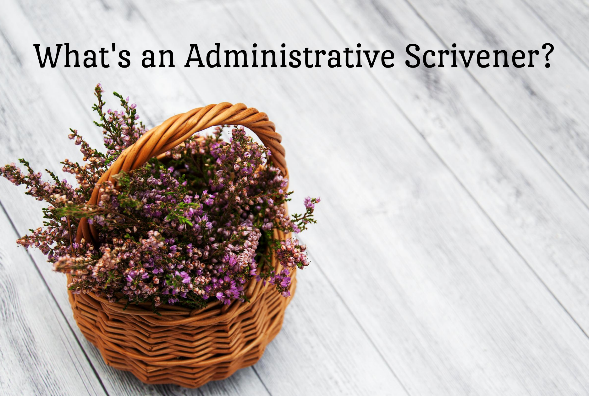 Administrative Scrivener 